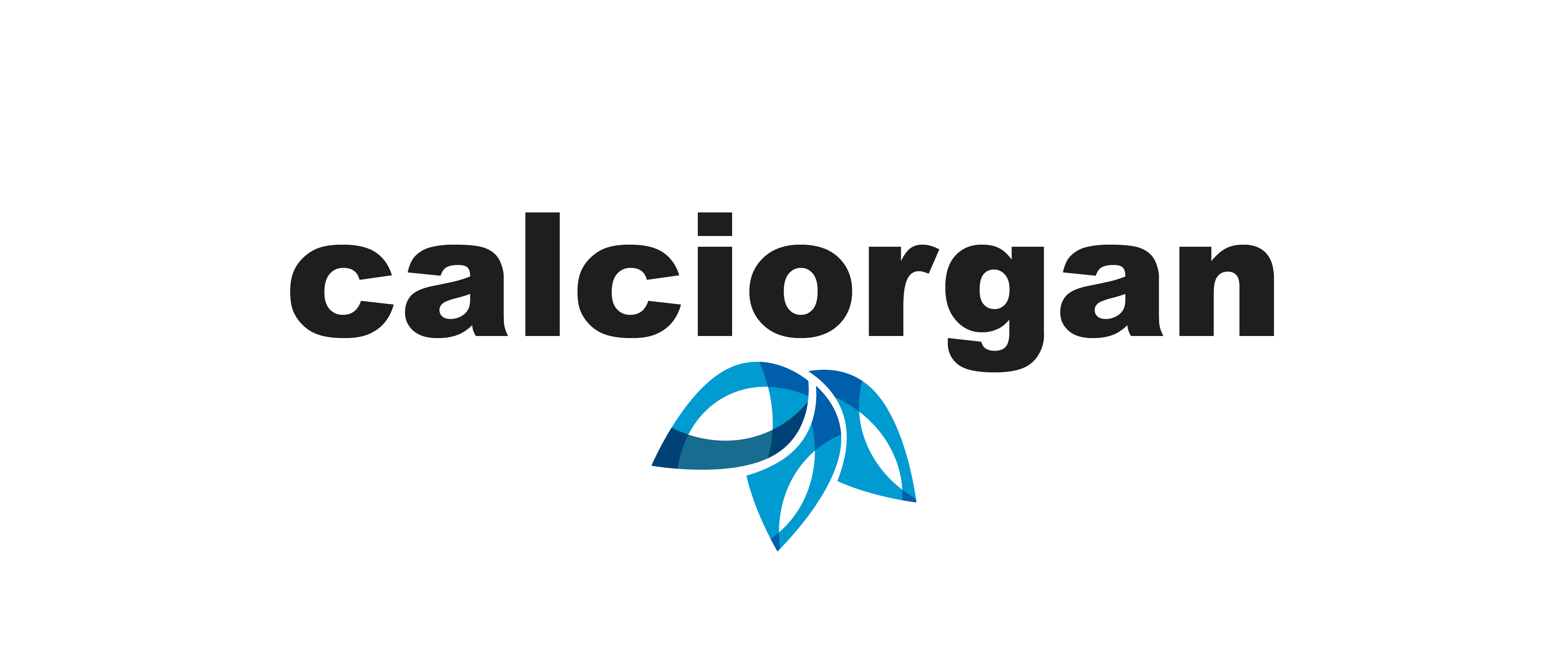 Calciorgan