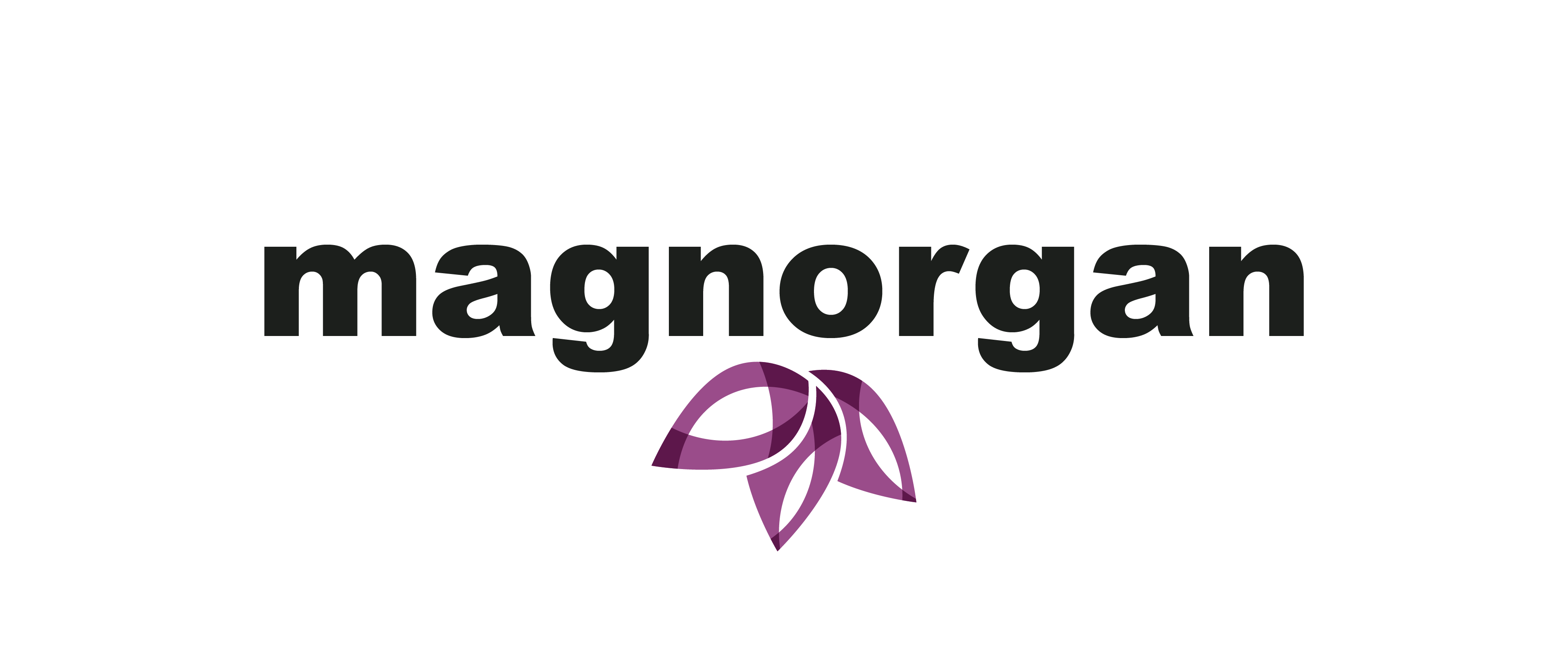 Magnorgan