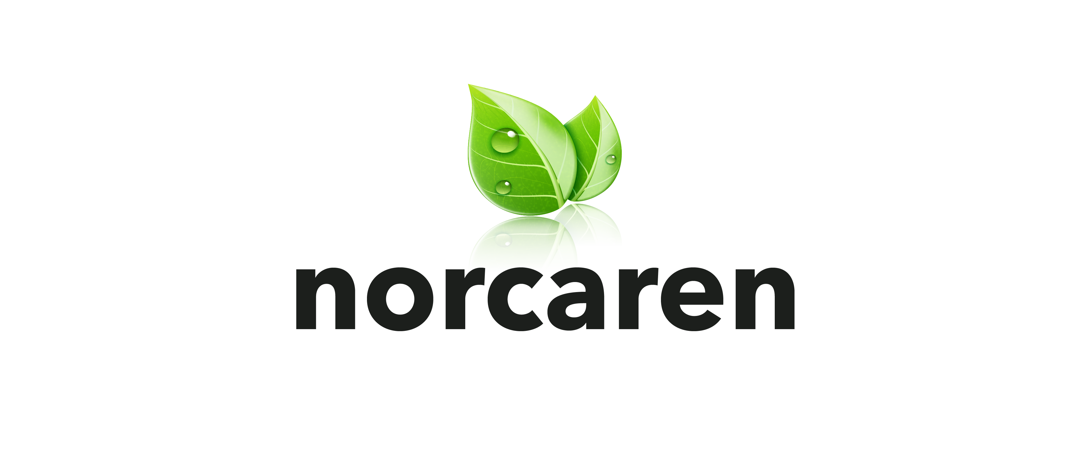 Norcaren