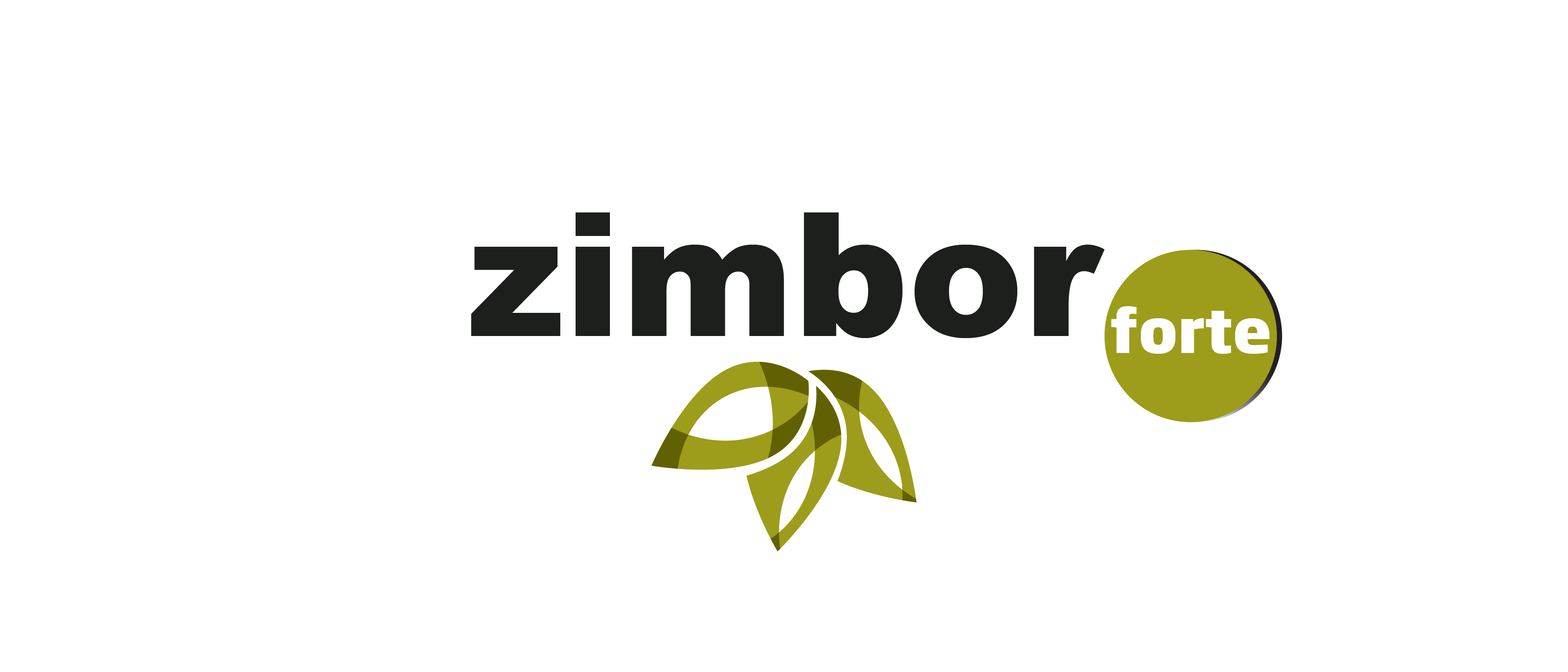 Zimbor Forte